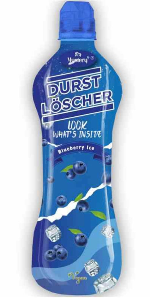 Durstlöscher Blueberry Ice 500ml - 12er Pack
